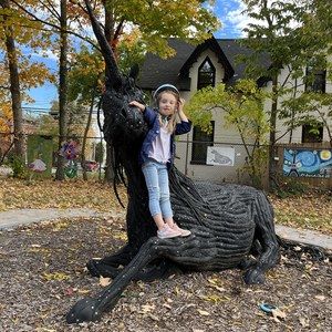 Meet your Posher, Susanna